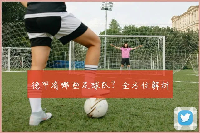 德甲有哪些足球队?全方位解析