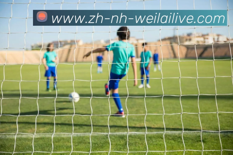 纬来体育品牌故事