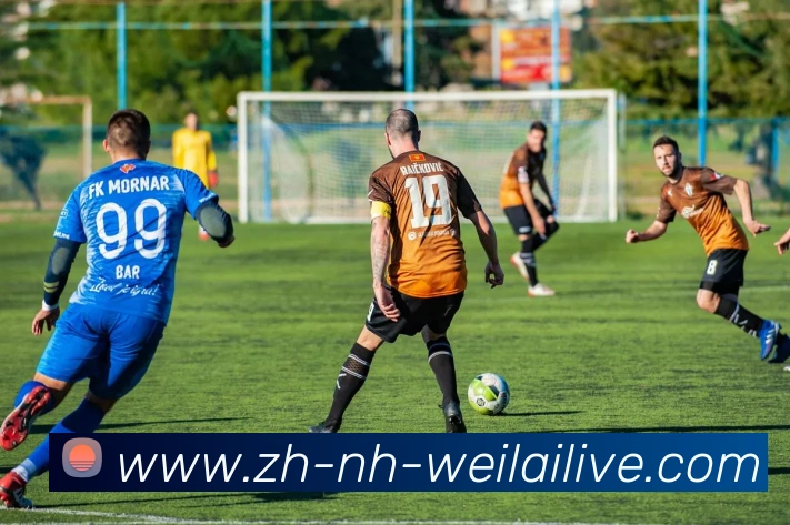 纬来体育服务体系